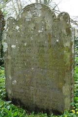 The grave of 2 brothers, Samuel and John Ellis